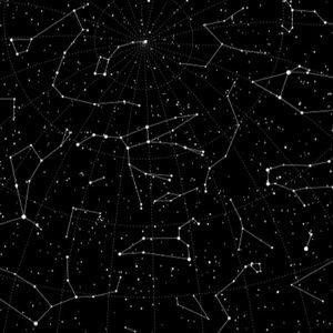 Meet your Posher, Kai